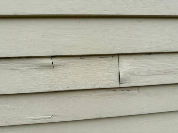 Affordable Siding Repair and Maintenance Services in Woodmere, LA